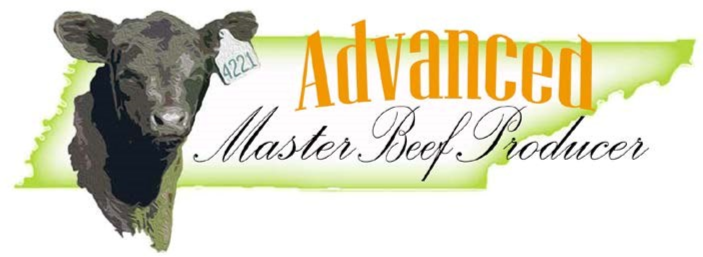 Advanced Master Beef Producer - Banner