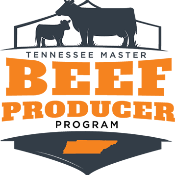 Master Beef Producer Logo 
