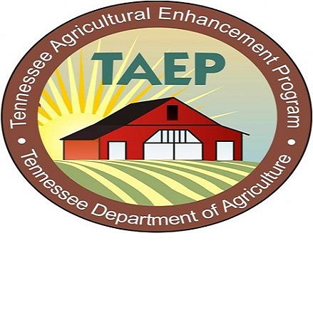 TAEP logo 