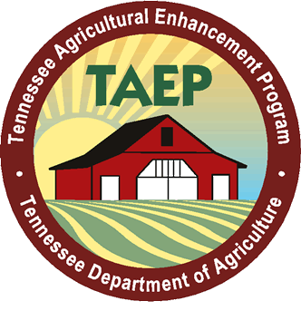 TAEP logo